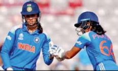 cricket